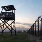 Bridgewater School Lessons from Auschwitz