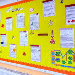 Physics of Angry Birds wall display at Bridgewater School