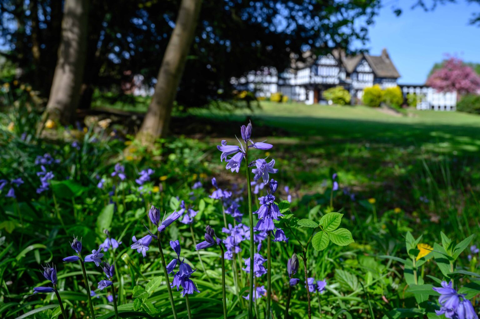 Arrange a tour Bridgewater School